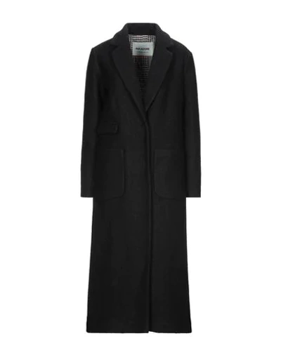 Ava Adore Coats In Black