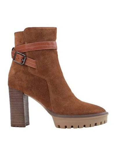 Bruno Premi Ankle Boots In Brown