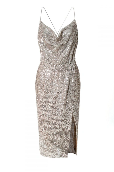 Aggi Dress Kim Champagne In Silver