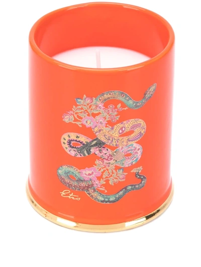 Etro Amber Wood Ceramic Candle (500g) In Orange