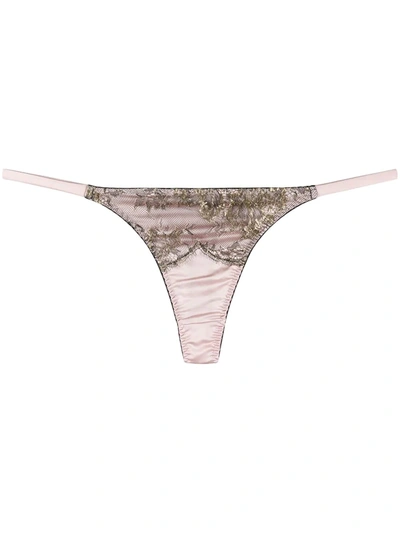 Gilda & Pearl Lace Panel Thong In Pink