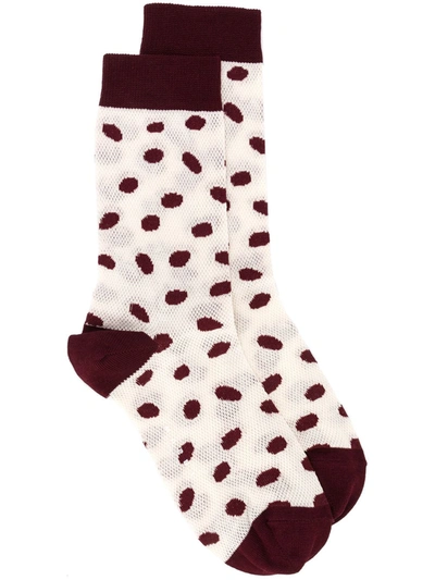 Marni Polka Dot Socks In Neutrals