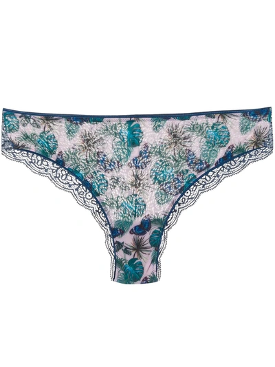 Dolci Follie Butterfly Brazilian Briefs In Blue