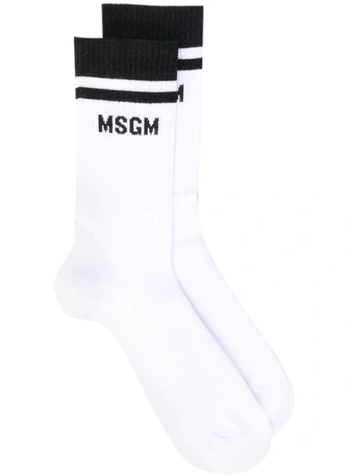 Msgm Logo Knit Socks In Bianco