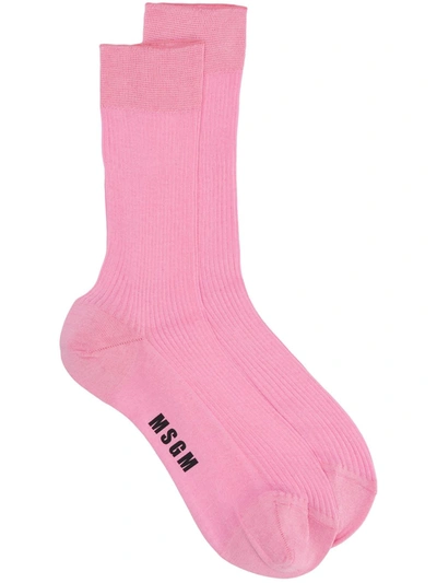 Msgm Logo Print Socks In Pink