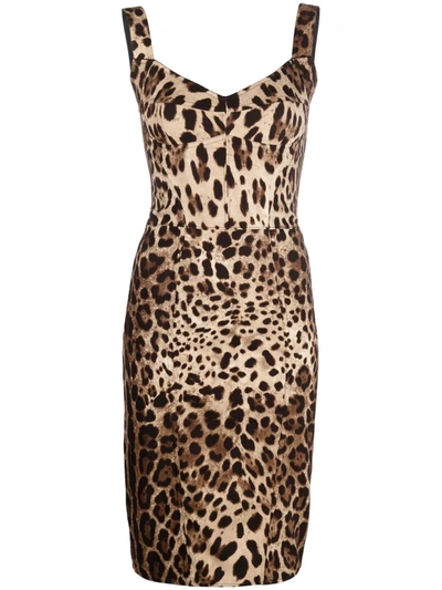 Dolce & Gabbana Leopard-print Cady Corset-style Midi Dress In Neutrals
