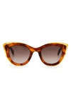 Rag & Bone 49mm Gradient Cat Eye Sunglasses In Red Havana/ Brown Gradient