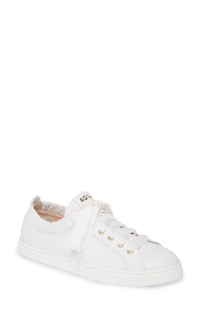 Agl Attilio Giusti Leombruni Ruffle Top Lace-up Sneaker In White Leather
