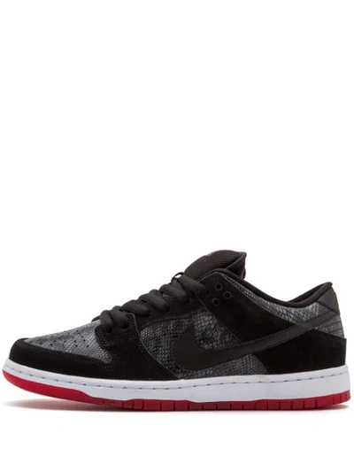 Nike Dunk Low Premium Sb "snakeskin" Sneakers In Black