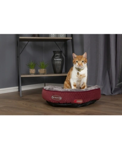 Scruffs Thermal Ring Cat Bed In Burgundy