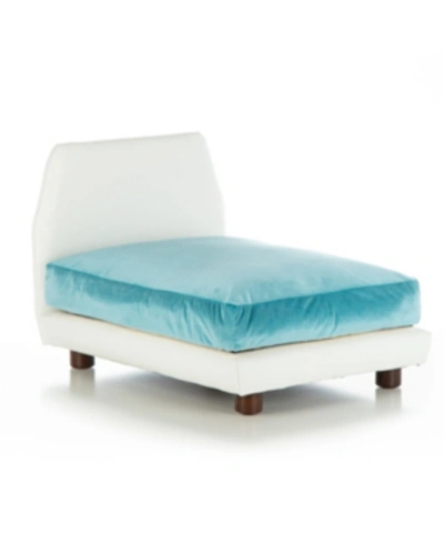 Club Nine Pets Mid-century Bed Collection Small Orthopedic Dog Bed In Aqua