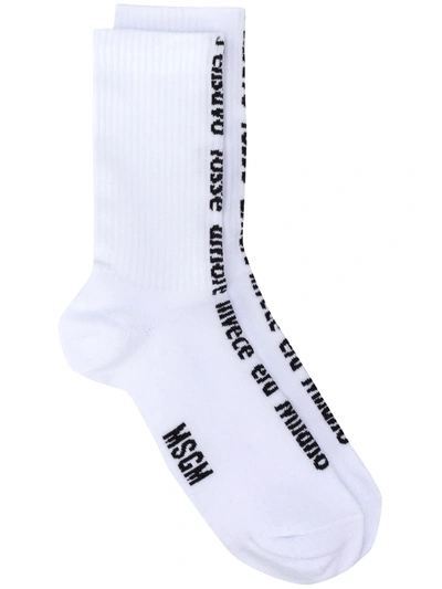 Msgm Logo-ribbed Socks In White