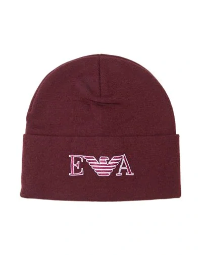 Emporio Armani Hats In Garnet