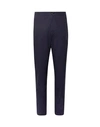 Ermenegildo Zegna Pants In Blue