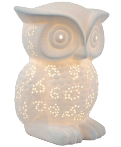 All The Rages Simple Designs Porcelain Wise Owl Shaped Animal Light Table Lamp In White