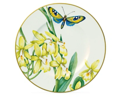 Villeroy & Boch Amazonia Anmut Salad Plate