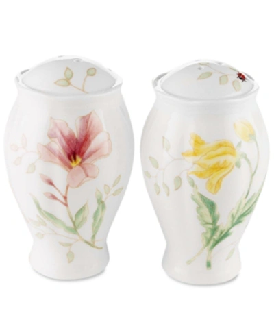 Lenox Butterfly Meadow Salt & Pepper Set In Multi