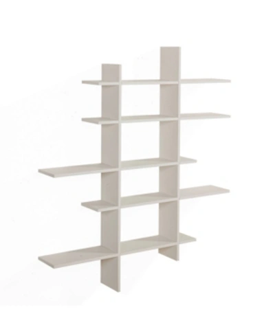 Danya B . Five Level Asymmetric Shelf In White