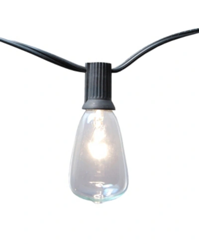 Jh Specialties Inc/lumabase Lumabase 10 Electric Edison String Lights In White