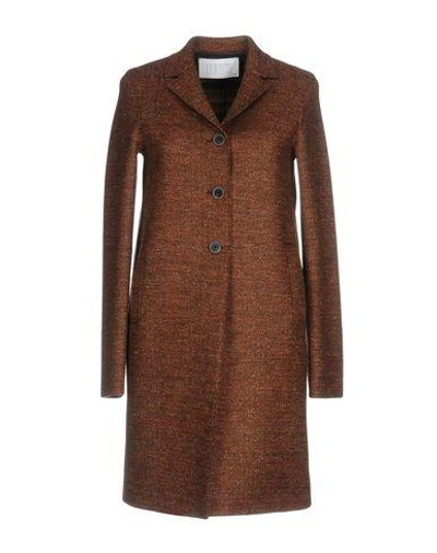 Harris Wharf London Coats In Rust