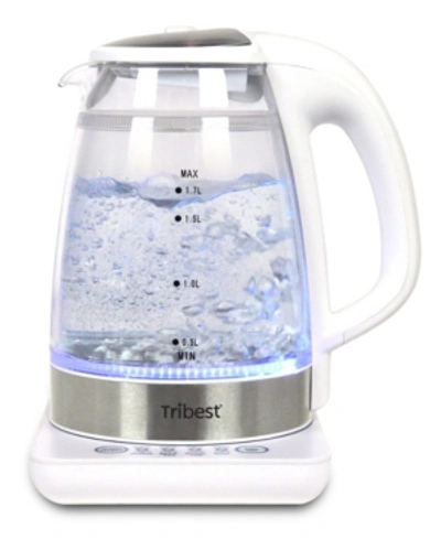 Tribest Double-walled Electric Glass Raw Tea Kettle In White