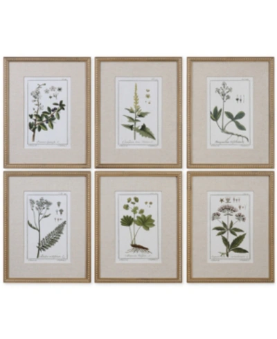 Uttermost Green Floral Botanical Study Wall Art, Set Of 6 In Multi