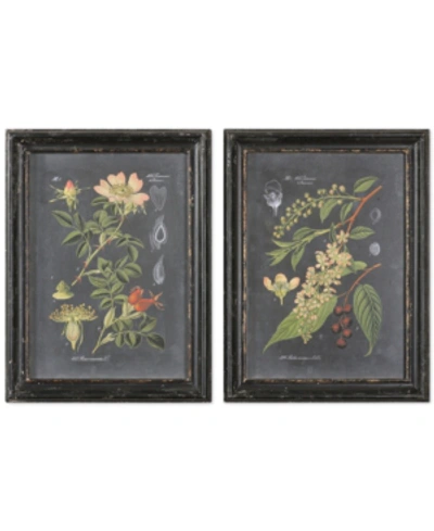 Uttermost Wall Art, Midnight Botanicals