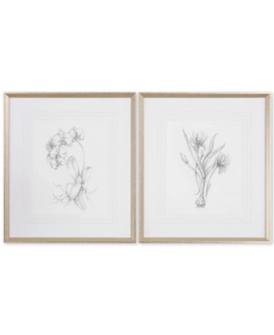 Uttermost Set Of 2 Botanical Sketches Framed Prints In Open Miscellaneous