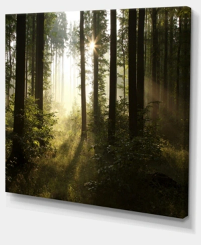 Design Art Designart Early Morning Sun In Misty Forest Photography Canvas Print In Green