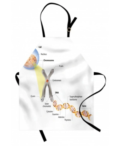Ambesonne Educational Apron In Multi