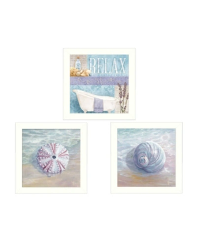 Trendy Decor 4u Shells I Collection By Mollie B. And G. Janisse, Printed Wall Art, Ready To Hang, White Frame, 42" X In Multi