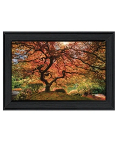 Trendy Decor 4u First Colors Of Fall I By Moises Levy, Ready To Hang Framed Print, Black Frame, 21" X 15" In Multi