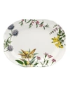 Spode Stafford Blooms 14 Inch Oval Platter In Multi