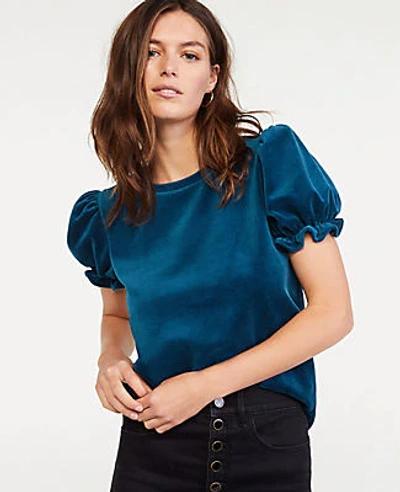 Ann Taylor Velvet Puff Sleeve Top In Dark Adriatic Sea