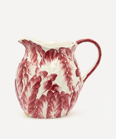 Unspecified Raddichio Pitcher In Red