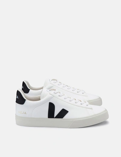Veja Campo Trainers (chrome Free Leather) In White