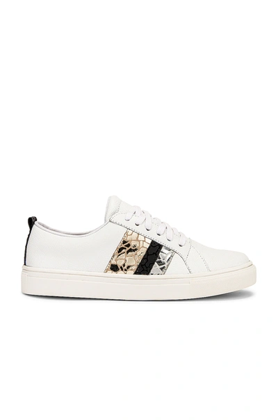 Kaanas Bristol Lace Up Sneaker With Side Stripes In Silver