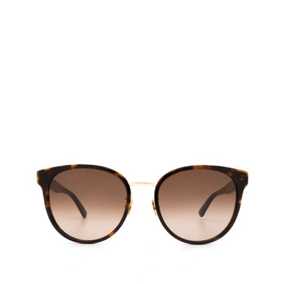 Bottega Veneta Bv1081sk Havana Sunglasses In Multi