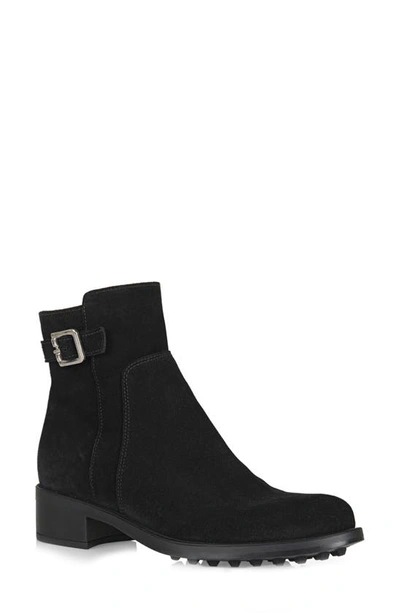 La Canadienne Shelby (lac-shelby Sue 628994538967 7.5 Black)