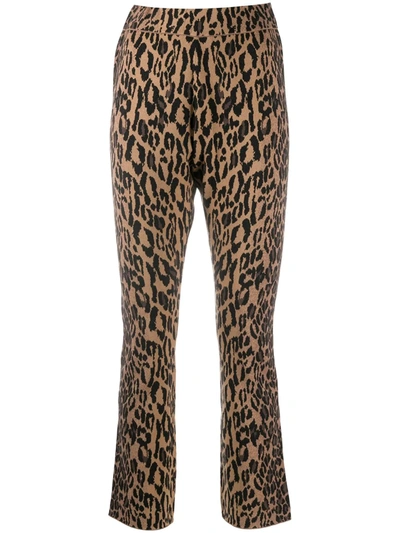 Diane Von Furstenberg Slim Leopard Trousers In Brown