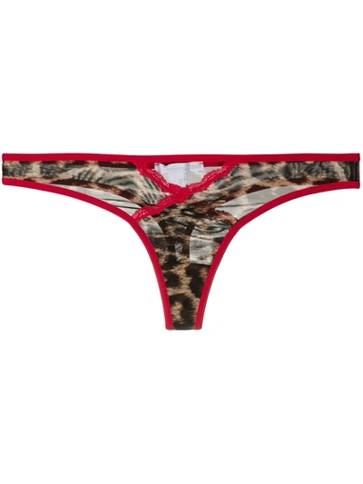 Just Cavalli Leopard Print Thong In Brown