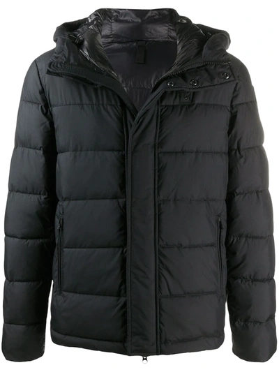 Blauer Hooded Down Jacket In Black