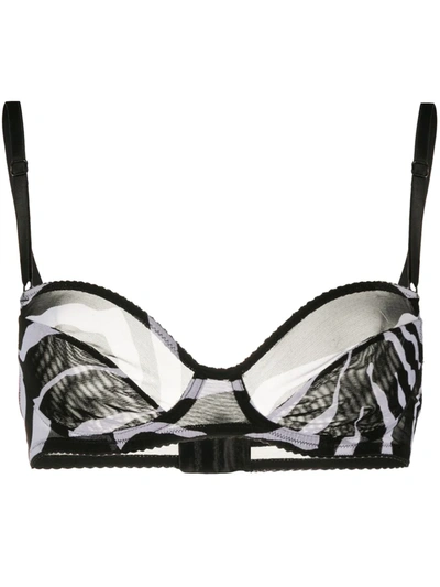 Dolce & Gabbana Zebra-print Sheer Bra In Black