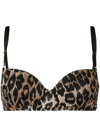 Dolce & Gabbana Leopard-print Bra In Brown