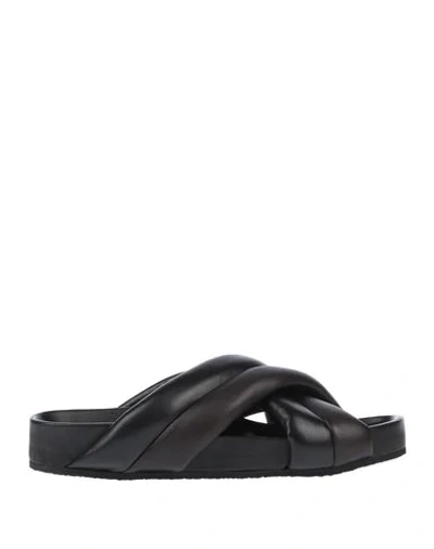 Jil Sander Sandals In Black