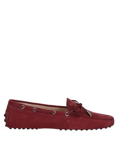 Tod's Loafers In Maroon