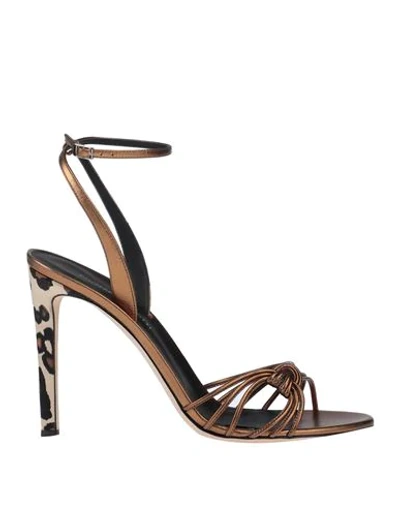 Giuseppe Zanotti Sandals In Bronze
