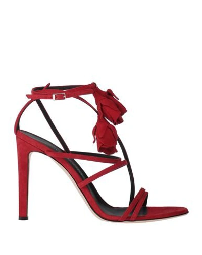 Giuseppe Zanotti Sandals In Red