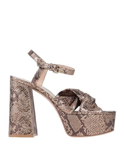 Gianvito Rossi Sandals In Platinum