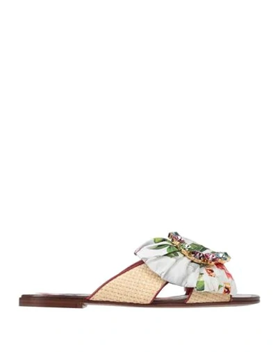 Dolce & Gabbana Sandals In Red